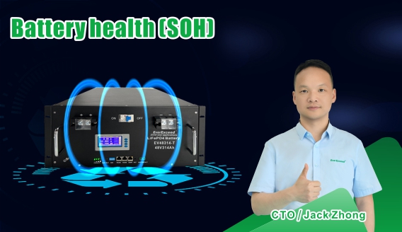 EverExceed | Hiểu về SOH (Tình trạng sức khỏe) trong pin LiFePO₄
