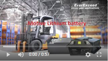 EverExceed Motive Lithium pin